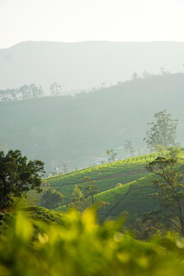 Dover Cottage Nuwara Eliya Buitenkant foto