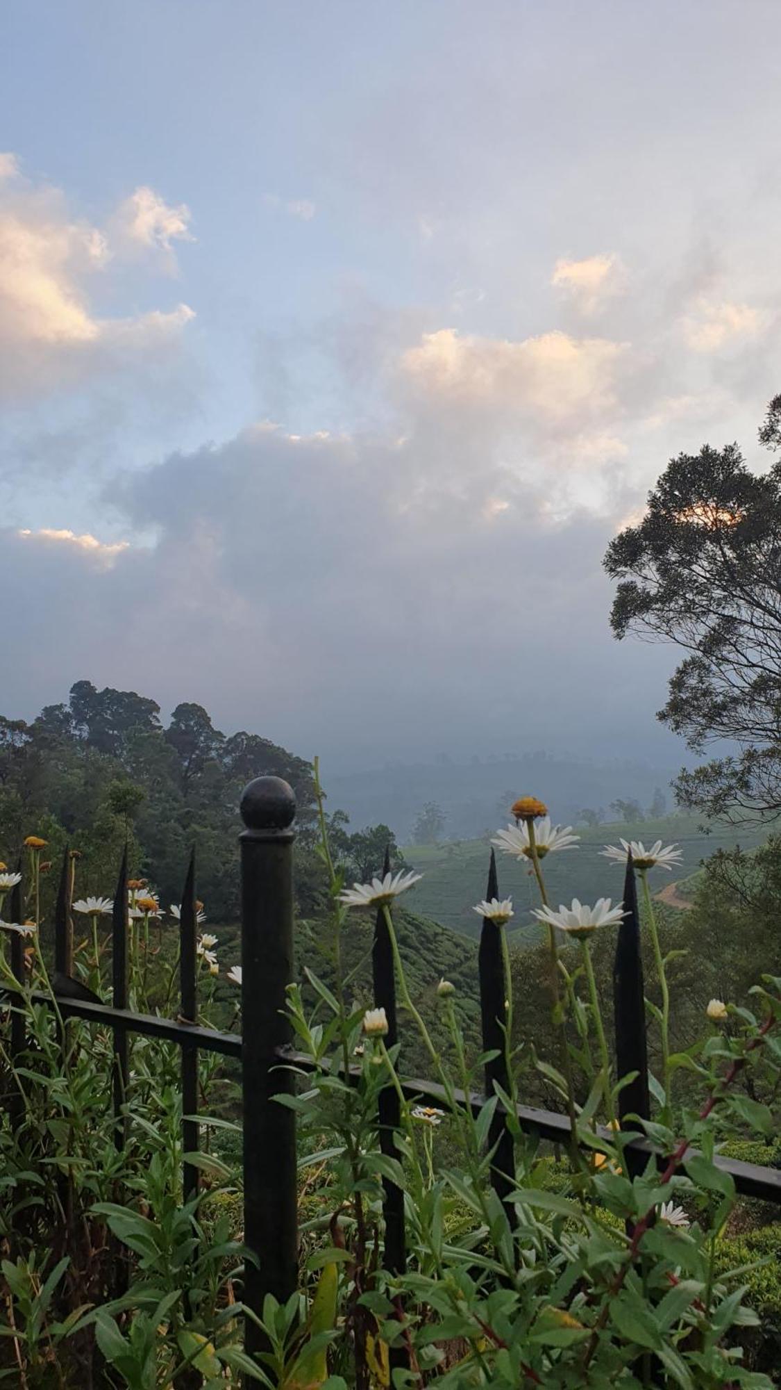 Dover Cottage Nuwara Eliya Buitenkant foto